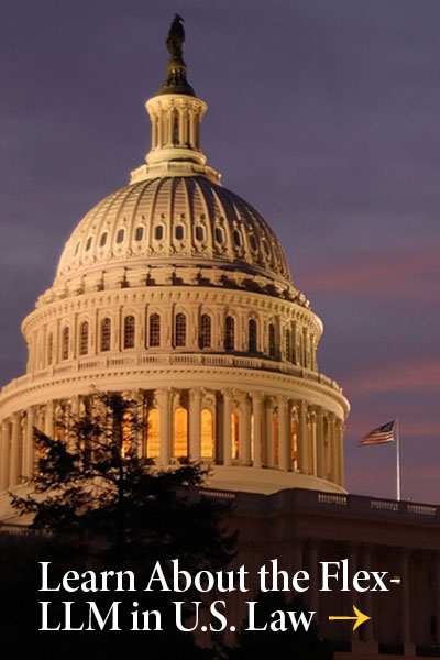 Flex-LLM in U.S. Law