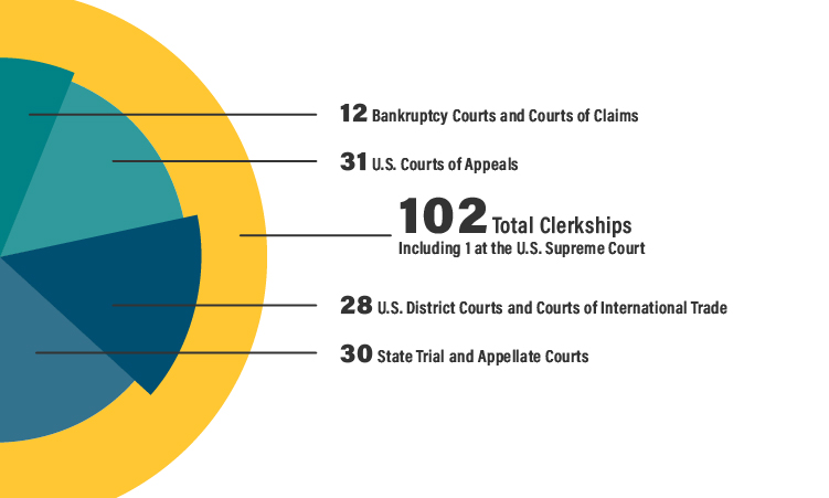 Pie chart showing clerkship numbers discussed in te